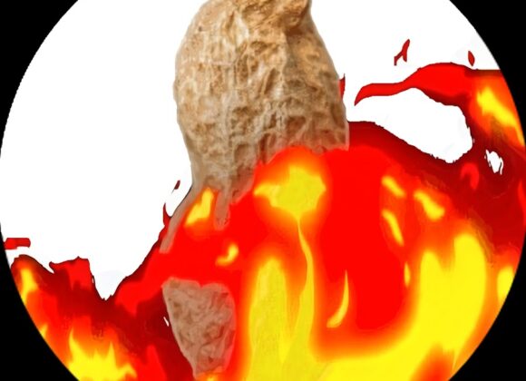 TheBurntPeanut official YouTube avatar
