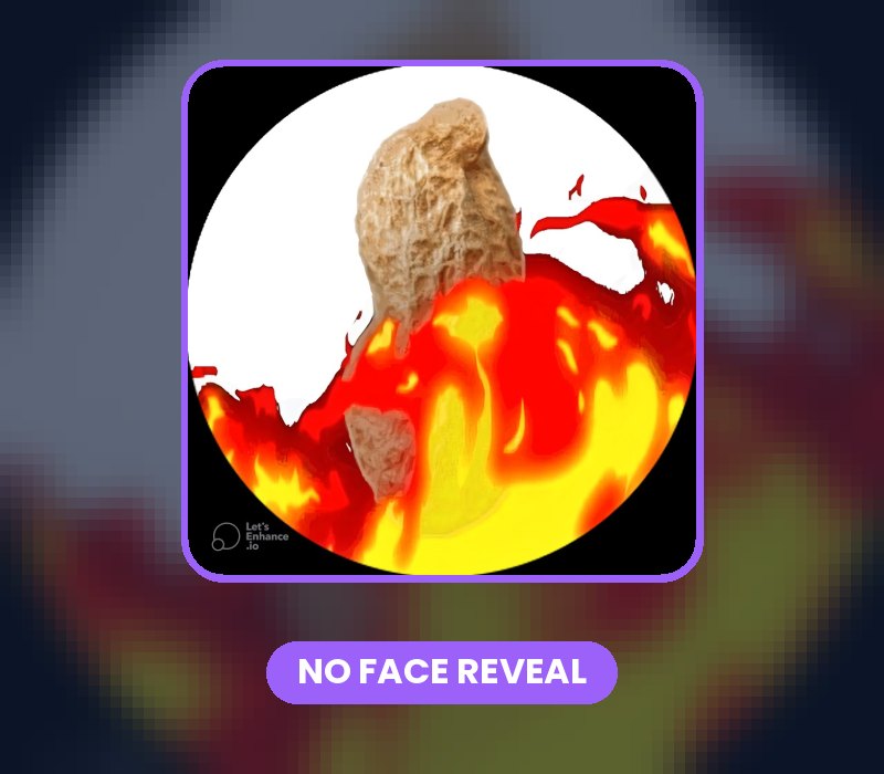 TheBurntPeanut turned down $1M to stay hidden